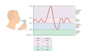 Graficzna prezentacja badania spirometria: człowiek z ustnikiem, krzywa objętości oddechowej i dane.