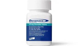 Pojemnik z tabletkami Deramaxx 25 mg dla psów, zawierający lek przeciwzapalny.