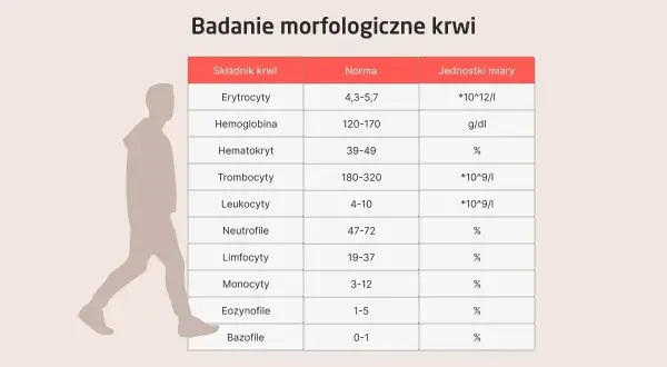 Tabela z badaniem morfologicznym krwi. Widać normy dla erytrocytów, hemoglobiny, hematokrytu, trombocytów, leukocytów i innych. pdw podwyższone może być sygnałem do dalszej diagnostyki.