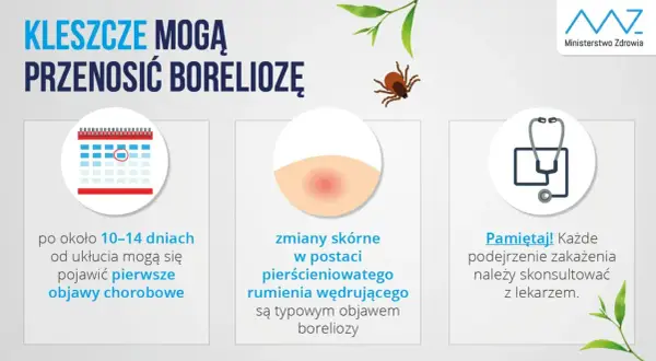 Jak zapobiec boreliozie? Ochrona przed kleszczami krok po kroku