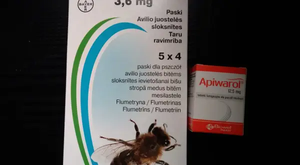 Gdzie kupić leki na warrozę? Legalnie i bezpiecznie dla pszczół!