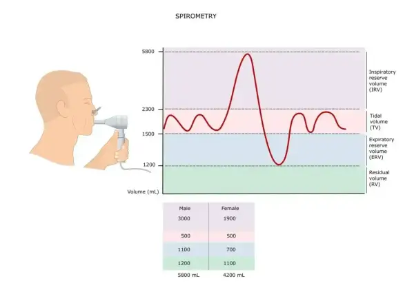 Graficzna prezentacja badania spirometria: człowiek z ustnikiem, krzywa objętości oddechowej i dane.
