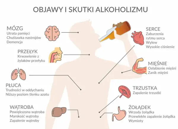 Ilustracja pokazuje skutki alkoholizmu dla mózgu, serca, płuc, wątroby, żołądka, trzustki, mięśni i przełyku.
